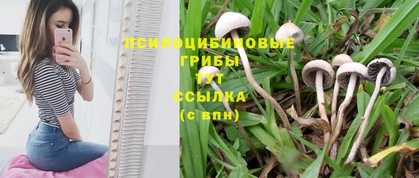 мет Надым