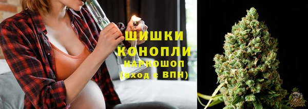 мет Надым