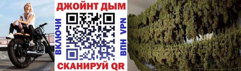 Конопля семена  Кохма 